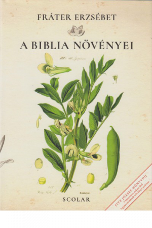 A Biblia növényei - Fráter Erzsébet