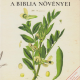 A Biblia növényei - Fráter Erzsébet