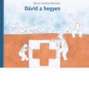 Dávid a hegyen - Barcza Ambrus Bertalan
