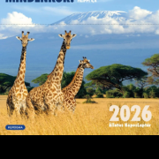Naptár-képeslapos kocka 2026