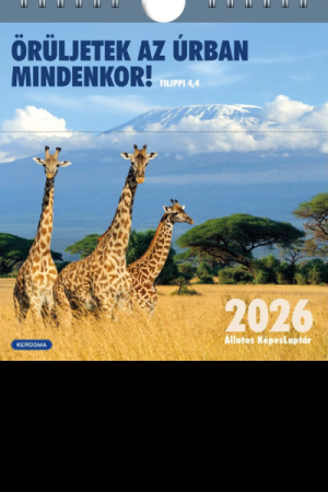 Naptár-képeslapos kocka 2026