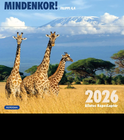 Naptár-képeslapos kocka 2026
