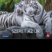 Falinaptár 2026: Szeret az Úr