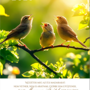 Falinaptár 2026: virág/állat spirálos