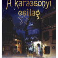 A karácsonyi csillag - Donna VanLiere