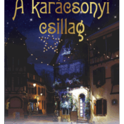 A karácsonyi csillag - Donna VanLiere