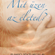 Buda LászlóMit üzen az életed? - Buda László