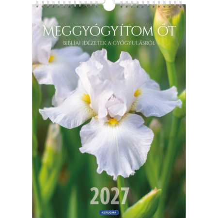 2027 Virágos Falinaptár - Meggyógyítom őt